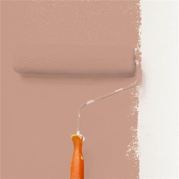 Wandfarbe Matt NCS-S-3020-Y70R WALLCOVER Colors
