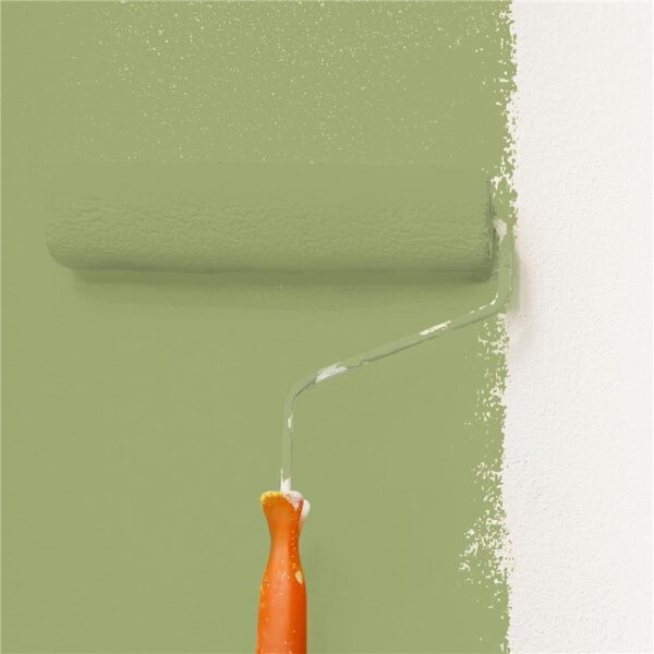 Wandfarbe Matt NCS-S-3030-G50Y WALLCOVER Colors