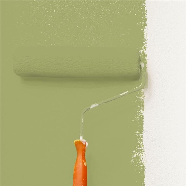 Wandfarbe Matt NCS-S-3030-G60Y WALLCOVER Colors