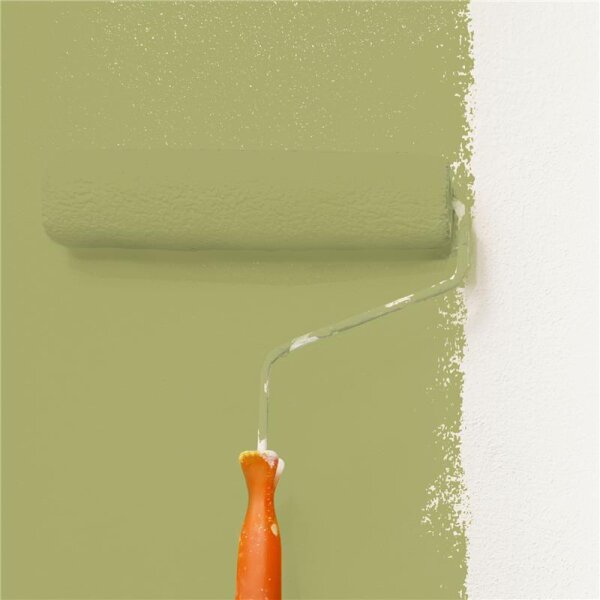 Wandfarbe Matt NCS-S-3030-G70Y WALLCOVER Colors