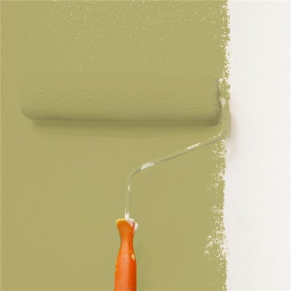 Wandfarbe Matt NCS-S-3030-G80Y WALLCOVER Colors