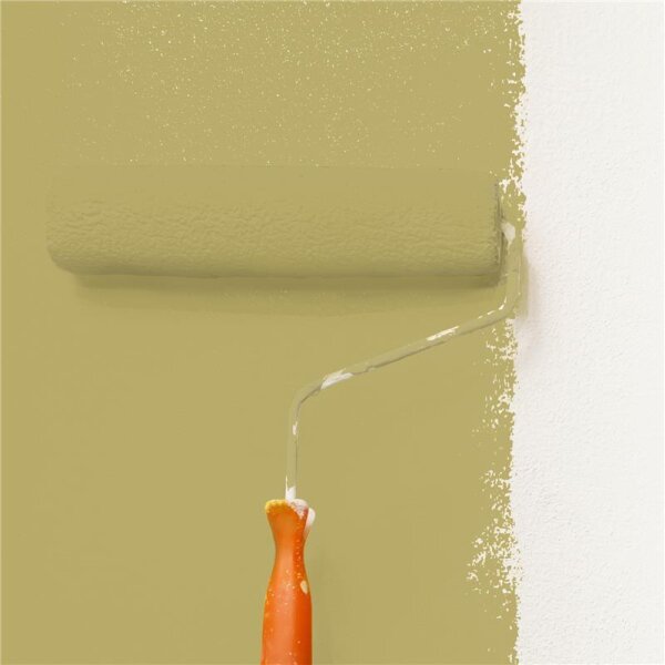 Wandfarbe Matt NCS-S-3030-G90Y WALLCOVER Colors