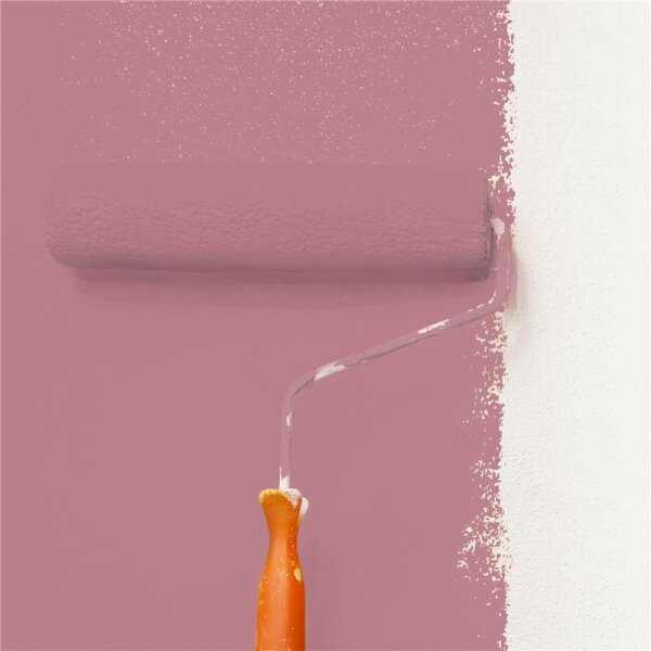 Wandfarbe Matt NCS-S-3030-R10B WALLCOVER Colors