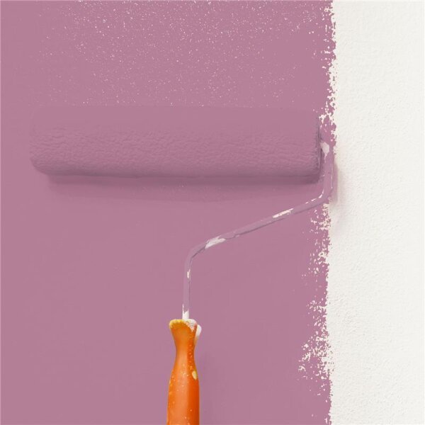Wandfarbe Matt NCS-S-3030-R30B WALLCOVER Colors