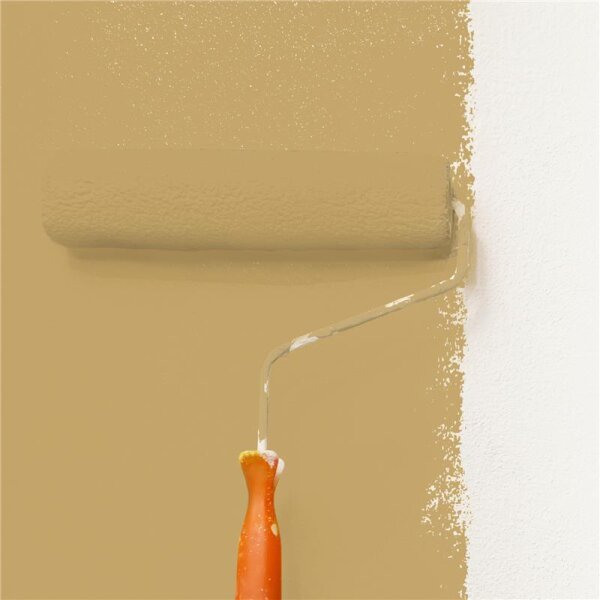Wandfarbe Matt NCS-S-3030-Y10R WALLCOVER Colors