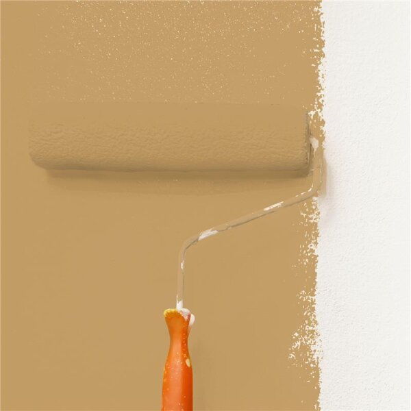 Wandfarbe Matt NCS-S-3030-Y20R WALLCOVER Colors