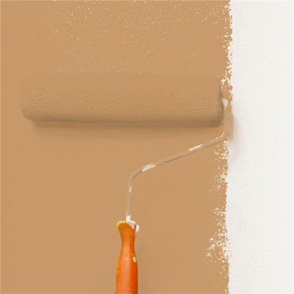 Wandfarbe Matt NCS-S-3030-Y30R WALLCOVER Colors