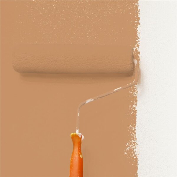 Wandfarbe Matt NCS-S-3030-Y40R WALLCOVER Colors