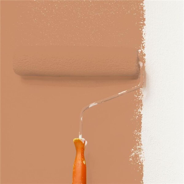Wandfarbe Matt NCS-S-3030-Y50R WALLCOVER Colors