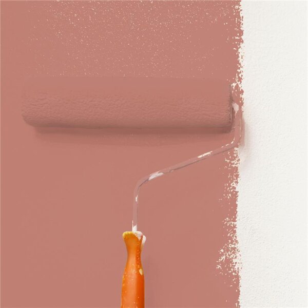 Wandfarbe Matt NCS-S-3030-Y80R WALLCOVER Colors