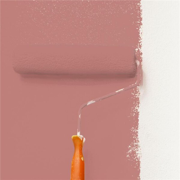 Wandfarbe Matt NCS-S-3030-Y90R WALLCOVER Colors