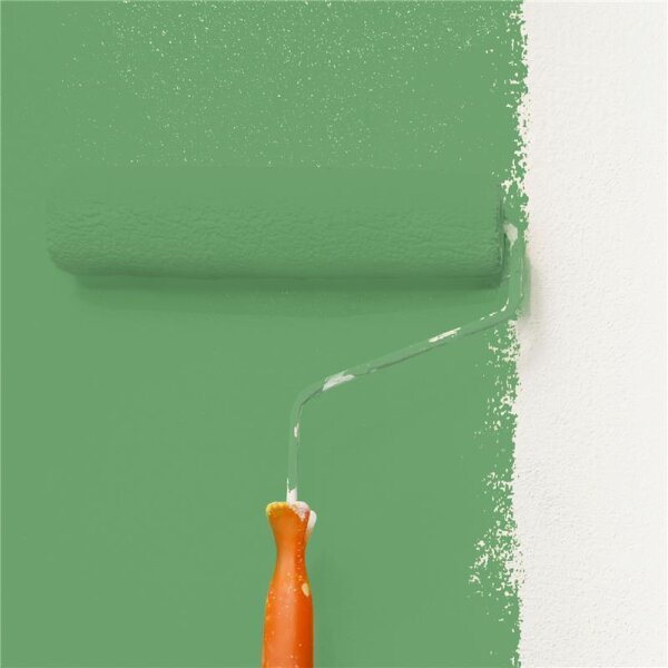 Wandfarbe Matt NCS-S-3040-G20Y WALLCOVER Colors