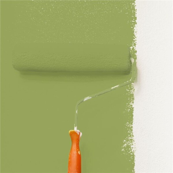Wandfarbe Matt NCS-S-3040-G50Y WALLCOVER Colors