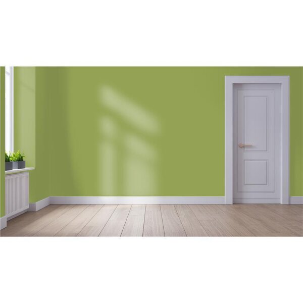 Wandfarbe Matt NCS-S-3040-G50Y WALLCOVER Colors