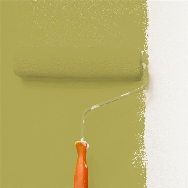 Wandfarbe Matt NCS-S-3040-G80Y WALLCOVER Colors