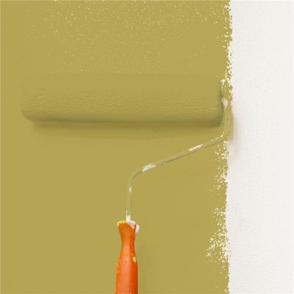 Wandfarbe Matt NCS-S-3040-G90Y WALLCOVER Colors