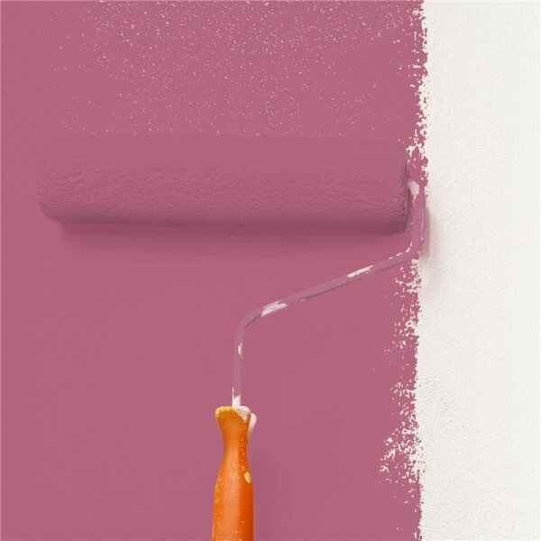 Wandfarbe Matt NCS-S-3040-R20B WALLCOVER Colors