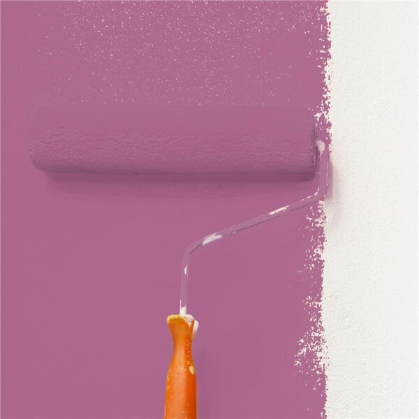 Wandfarbe Matt NCS-S-3040-R30B WALLCOVER Colors