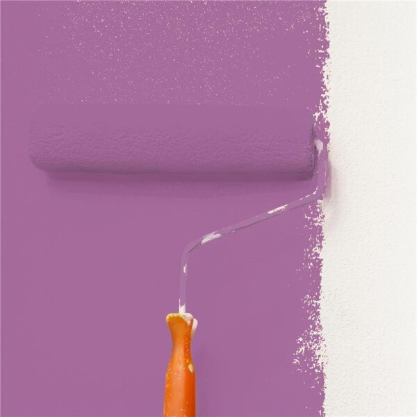 Wandfarbe Matt NCS-S-3040-R40B WALLCOVER Colors
