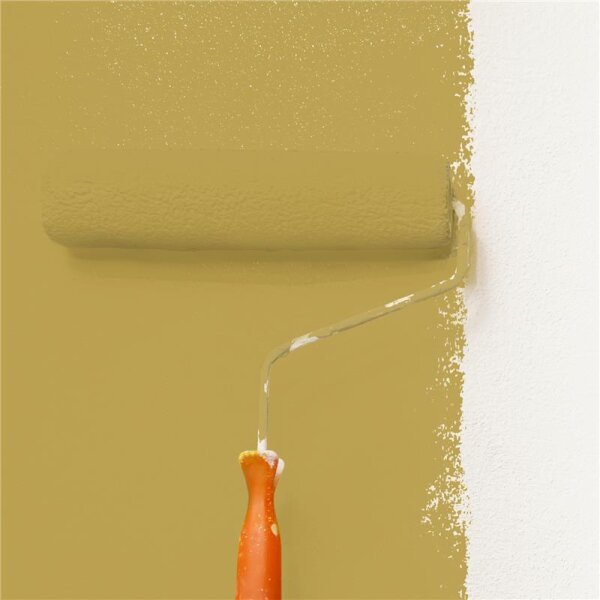 Wandfarbe Matt NCS-S-3040-Y WALLCOVER Colors