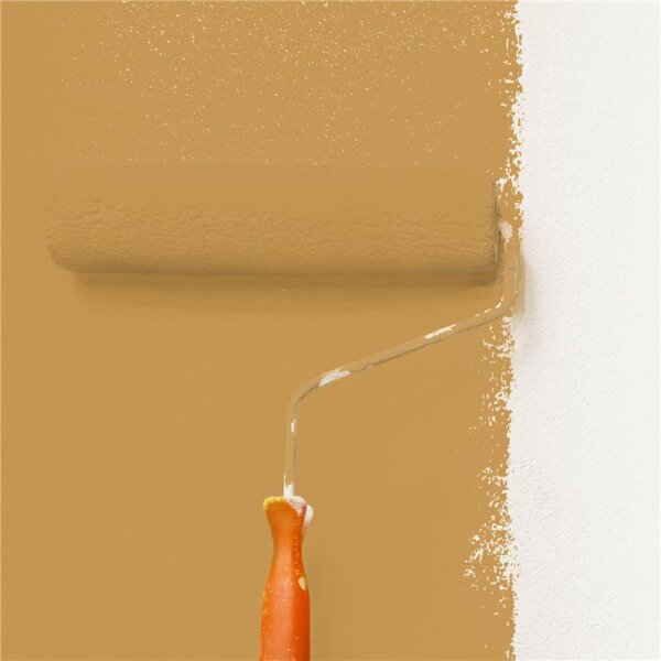 Wandfarbe Matt NCS-S-3040-Y20R WALLCOVER Colors