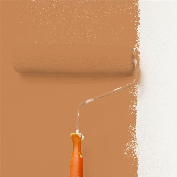 Wandfarbe Matt NCS-S-3040-Y40R WALLCOVER Colors
