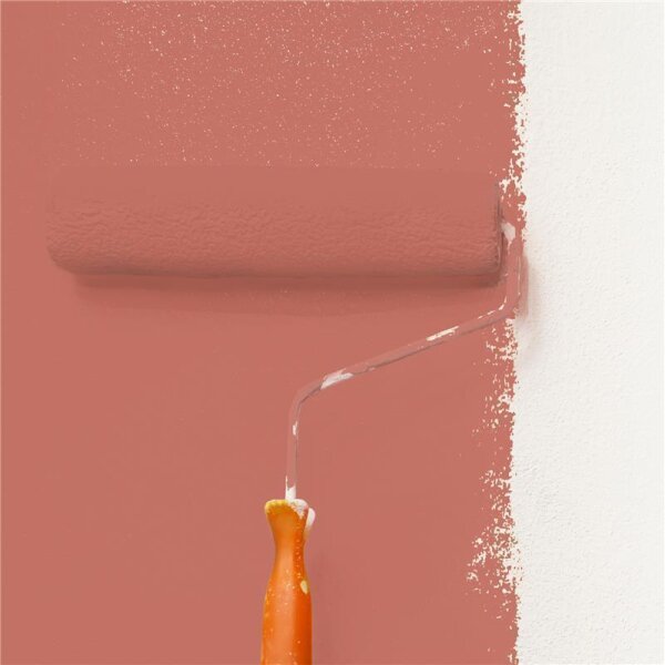 Wandfarbe Matt NCS-S-3040-Y80R WALLCOVER Colors