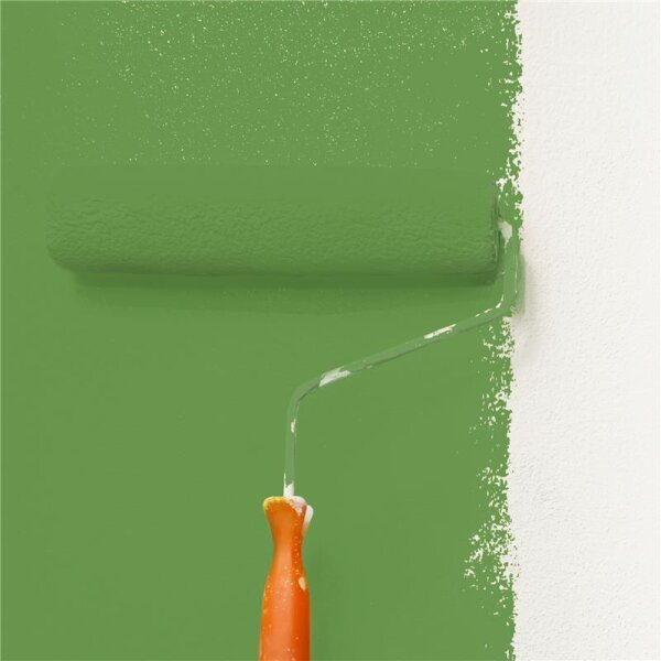 Wandfarbe Matt NCS-S-3050-G30Y WALLCOVER Colors