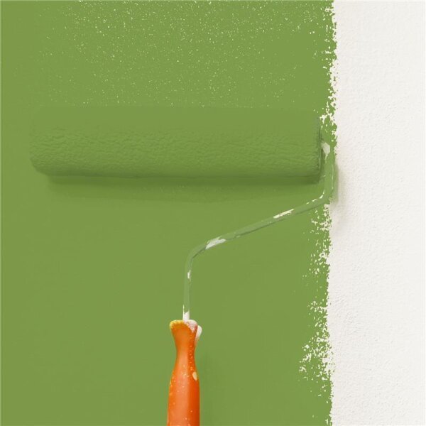 Wandfarbe Matt NCS-S-3050-G40Y WALLCOVER Colors