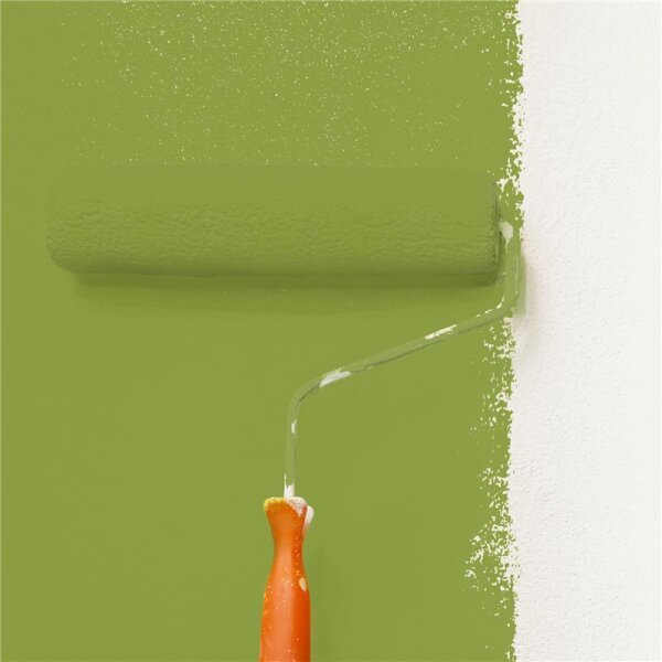 Wandfarbe Matt NCS-S-3050-G50Y WALLCOVER Colors