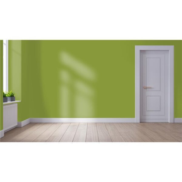 Wandfarbe Matt NCS-S-3050-G50Y WALLCOVER Colors