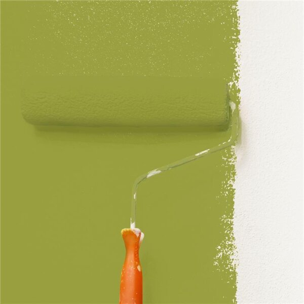 Wandfarbe Matt NCS-S-3050-G60Y WALLCOVER Colors