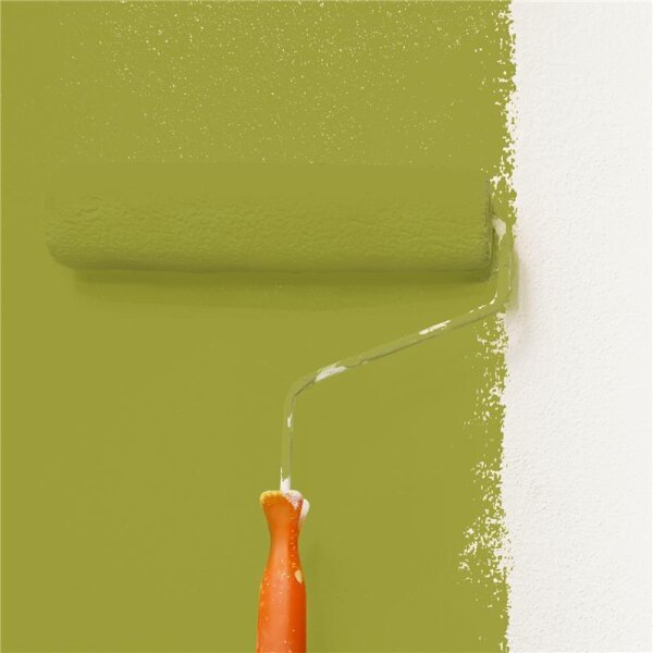 Wandfarbe Matt NCS-S-3050-G70Y WALLCOVER Colors