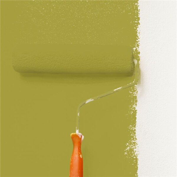 Wandfarbe Matt NCS-S-3050-G80Y WALLCOVER Colors