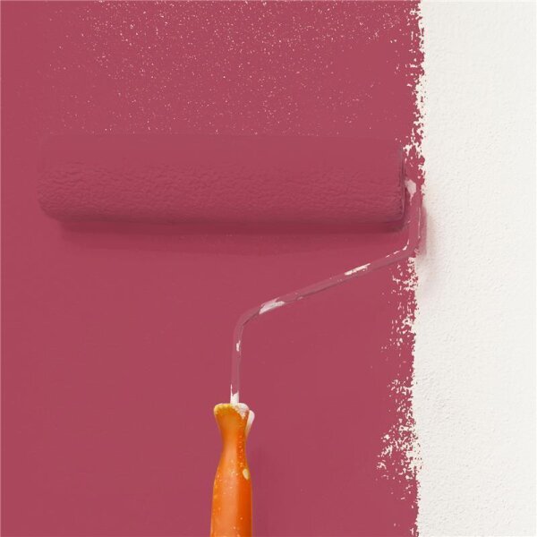 Wandfarbe Matt NCS-S-3050-R10B WALLCOVER Colors