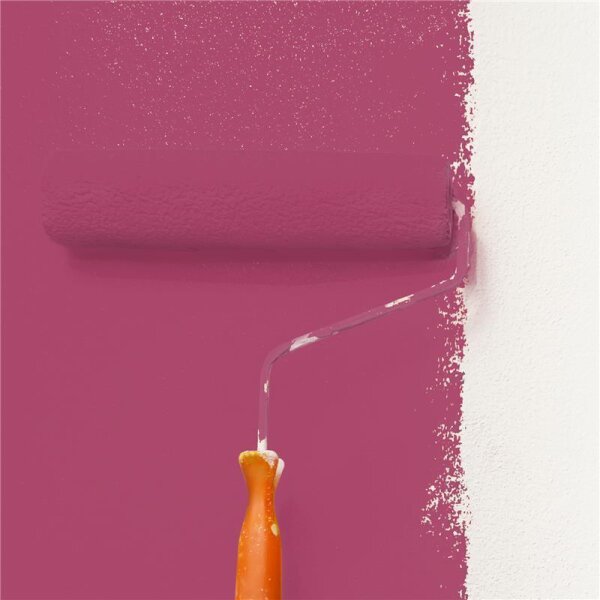 Wandfarbe Matt NCS-S-3050-R20B WALLCOVER Colors