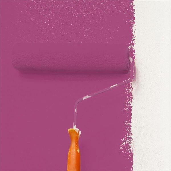 Wandfarbe Matt NCS-S-3050-R30B WALLCOVER Colors
