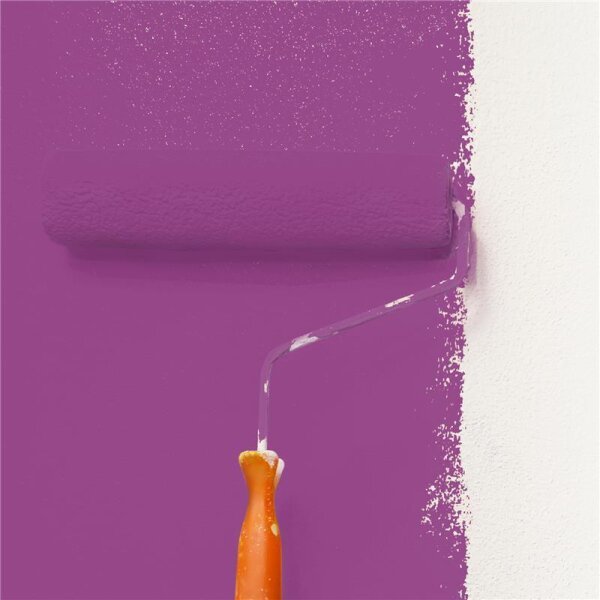 Wandfarbe Matt NCS-S-3050-R40B WALLCOVER Colors
