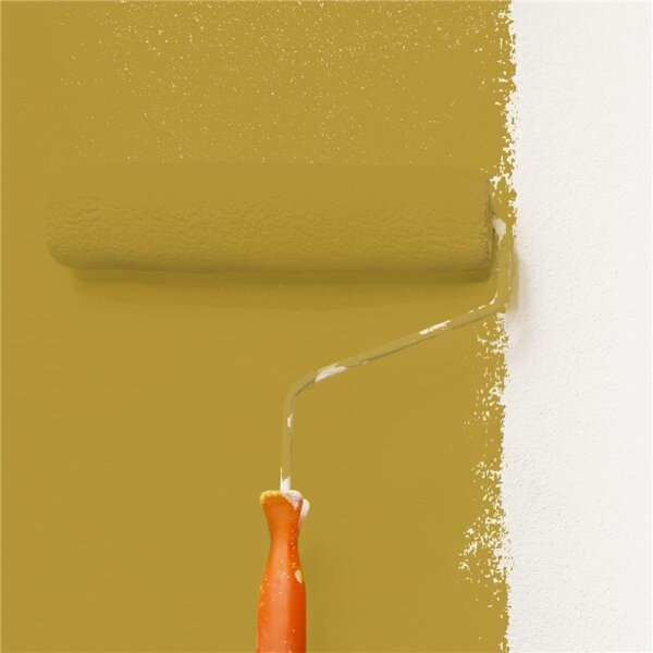 Wandfarbe Matt NCS-S-3050-Y WALLCOVER Colors