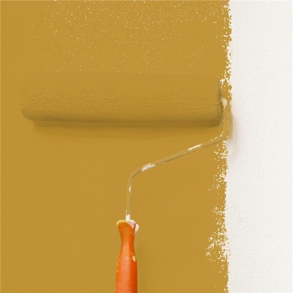 Wandfarbe Matt NCS-S-3050-Y10R WALLCOVER Colors