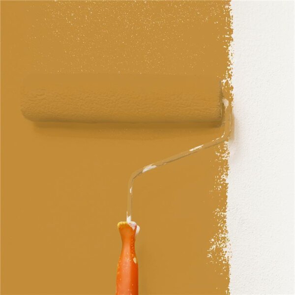 Wandfarbe Matt NCS-S-3050-Y20R WALLCOVER Colors
