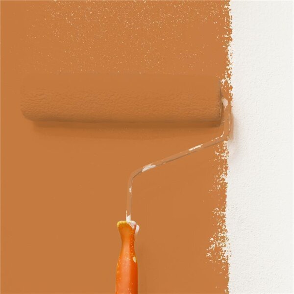 Wandfarbe Matt NCS-S-3050-Y40R WALLCOVER Colors