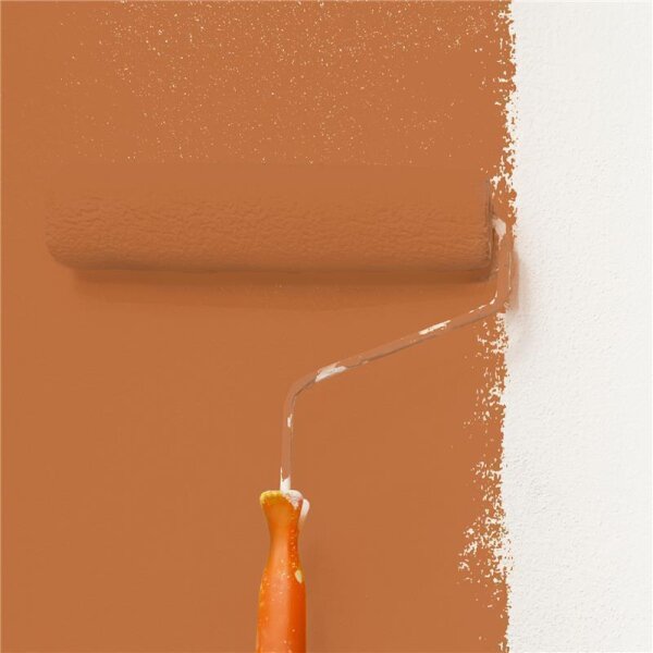 Wandfarbe Matt NCS-S-3050-Y50R WALLCOVER Colors