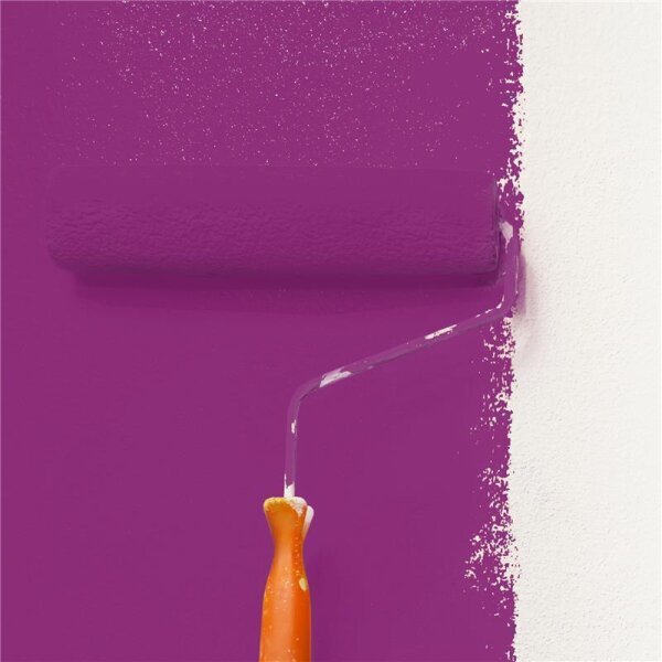 Wandfarbe Matt NCS-S-3055-R40B WALLCOVER Colors