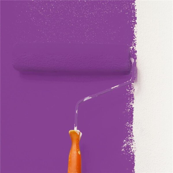 Wandfarbe Matt NCS-S-3055-R50B WALLCOVER Colors