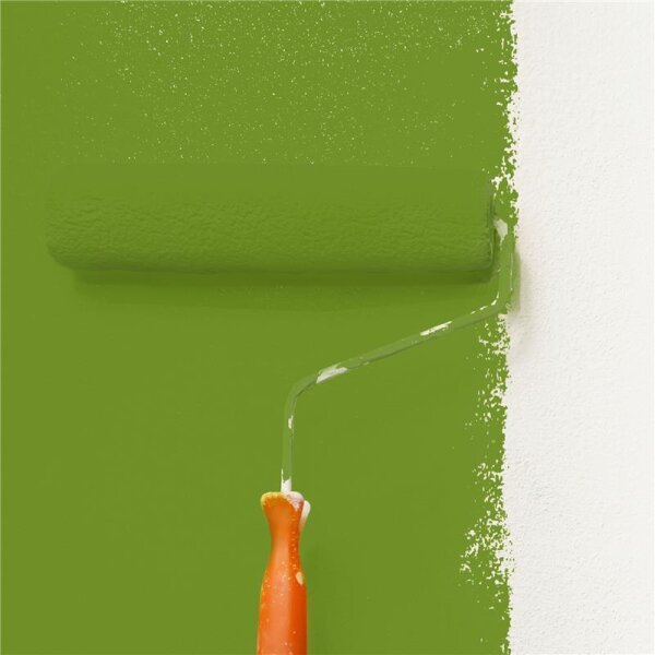 Wandfarbe Matt NCS-S-3060-G40Y WALLCOVER Colors