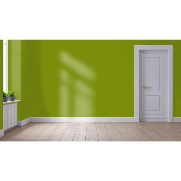 Wandfarbe Matt NCS-S-3060-G50Y WALLCOVER Colors