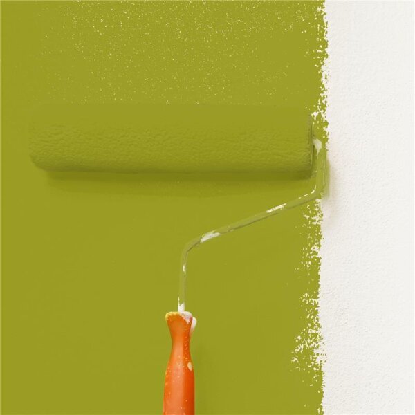 Wandfarbe Matt NCS-S-3060-G70Y WALLCOVER Colors