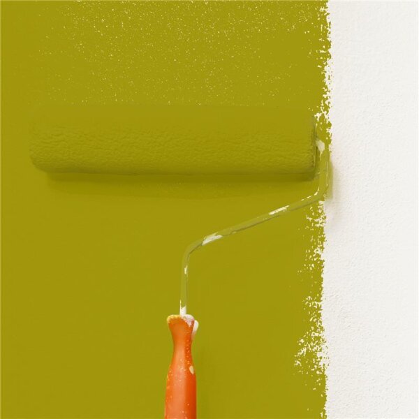 Wandfarbe Matt NCS-S-3060-G80Y WALLCOVER Colors