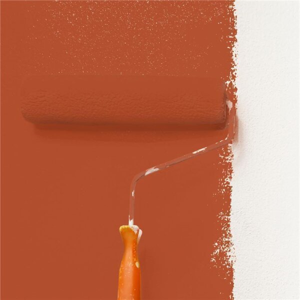 Wandfarbe Matt NCS-S-3060-Y70R WALLCOVER Colors